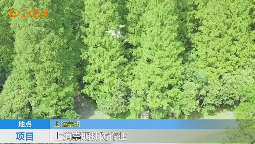 無人機林業(yè)病蟲害防治 卓翼農(nóng)服在行動插圖 無人機林業(yè)病蟲害防治 卓翼農(nóng)服在行動