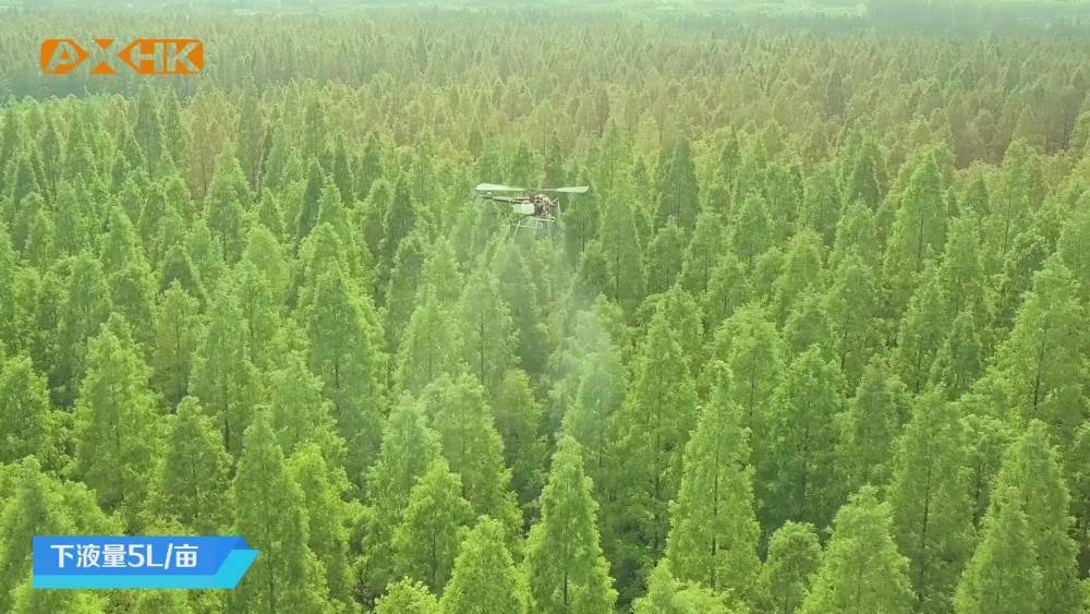 無人機林業(yè)病蟲害防治 卓翼農(nóng)服在行動插圖1 用載人直升機噴灑