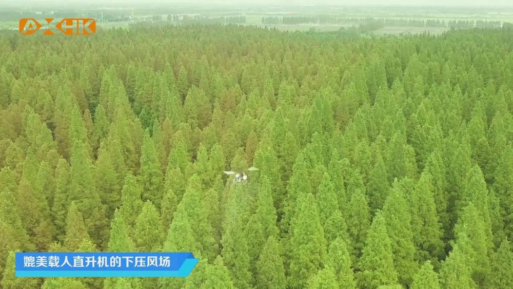 無人機林業(yè)病蟲害防治 卓翼農(nóng)服在行動插圖4 單旋翼油動無人機在林業(yè)病蟲害防治領(lǐng)域的優(yōu)勢