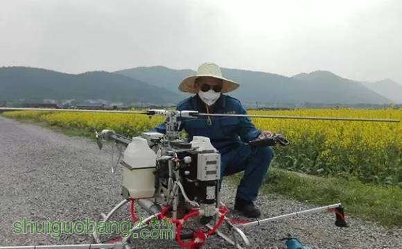 詳解植保無人機(jī)飛防服務(wù)團(tuán)隊(duì)作業(yè)流程插圖1 植保無人機(jī)飛防服務(wù)