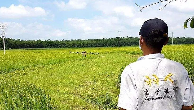 「植保無人機」無人機噴施葉面肥注意插圖1 葉面肥的濃度要適當
