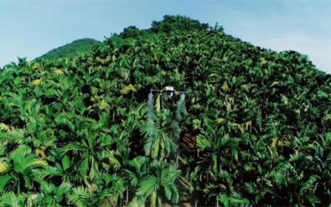植保無人機(jī)的應(yīng)用？解鎖中國無人機(jī)農(nóng)業(yè)黑科技