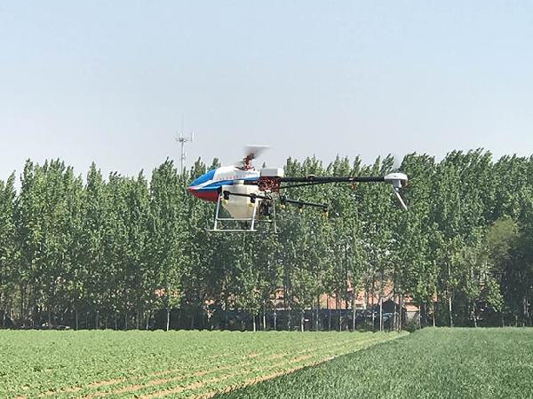 山東昌邑植保無人機助推小麥病蟲害防治插圖 山東昌邑植保無人機助推小麥病蟲害防治