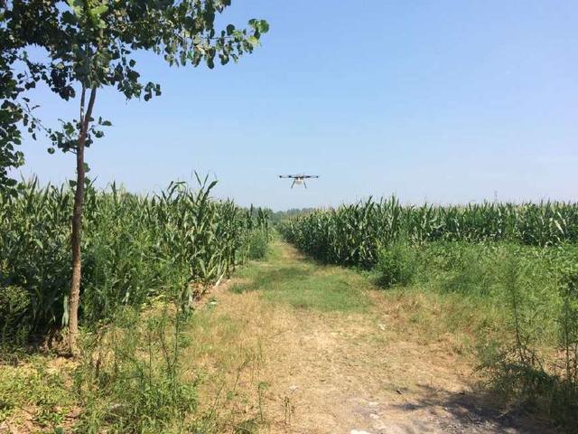 植保無人機給果樹打藥完全沒問題插圖 植保無人機給果樹打藥完全沒問題